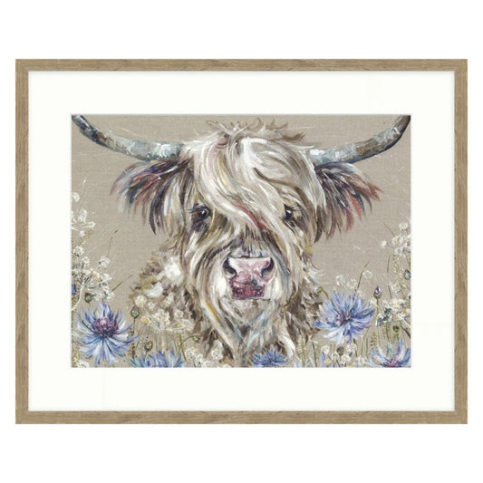 Cornflower by Nicola Jane Rowles Framed Picture