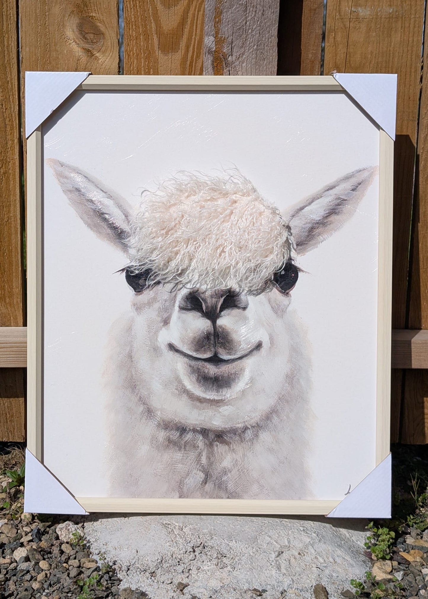 Framed alpaca wall art with realistic textured fur detail close up