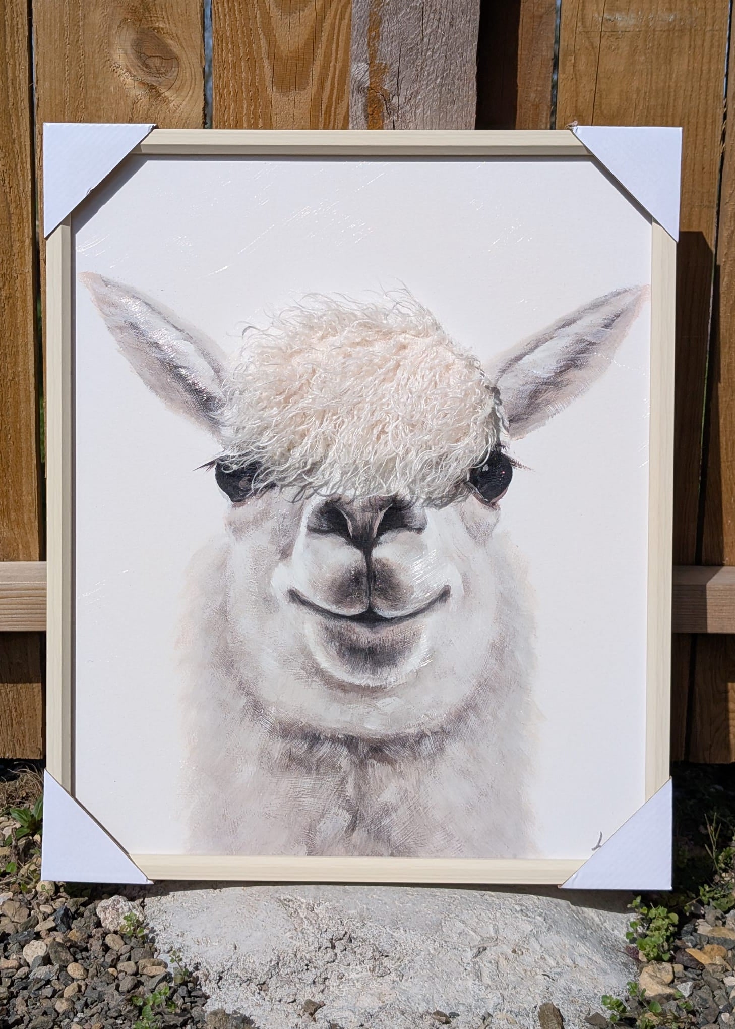 Framed alpaca wall art with realistic textured fur detail close up