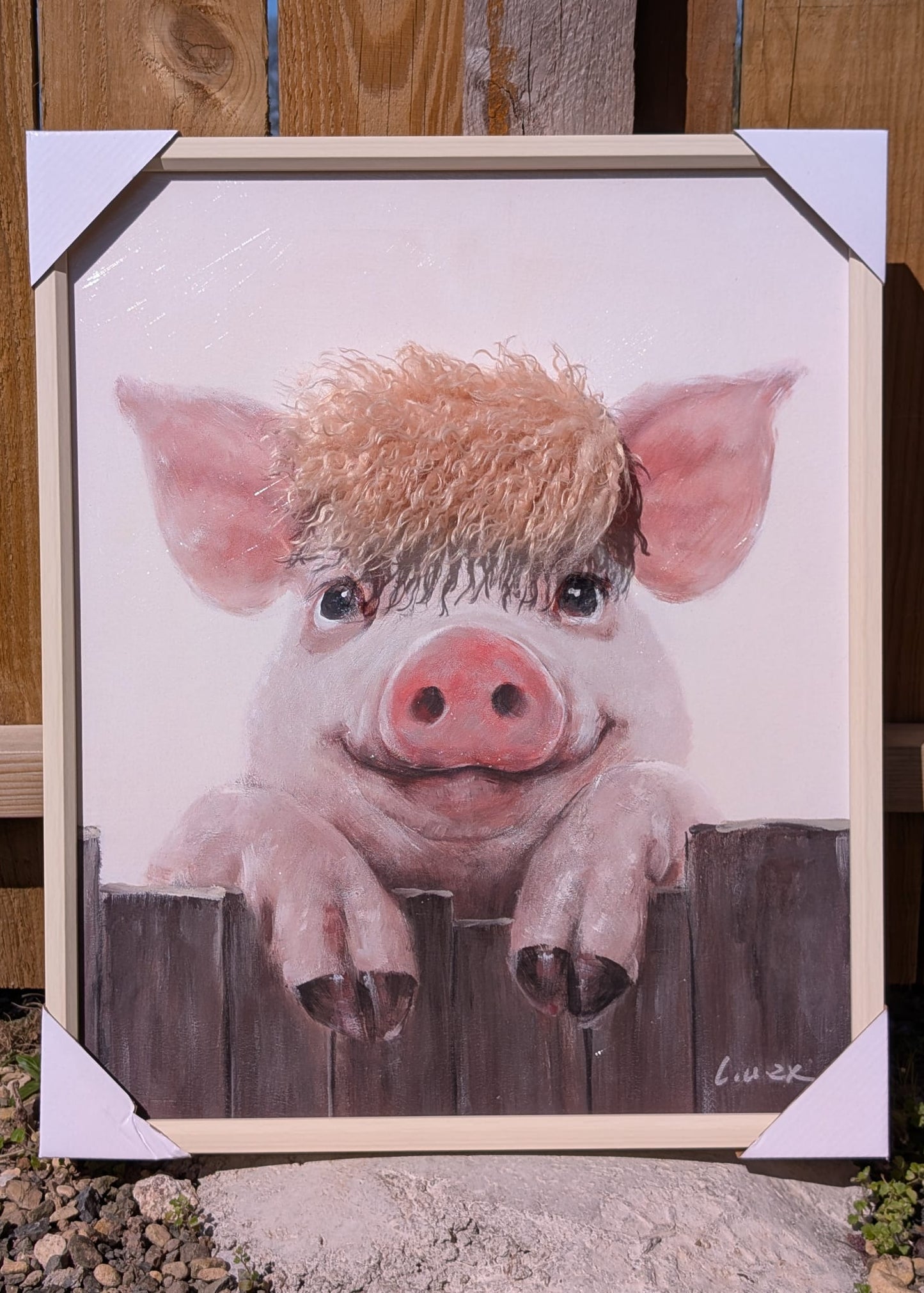 Framed pig wall art with textured touchable hair detail close up