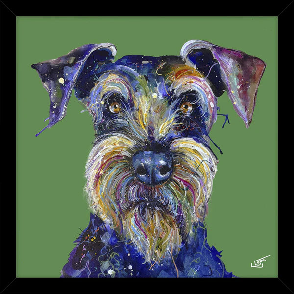 Professor Shnauzer Small by Louise Lutton Framed Picture