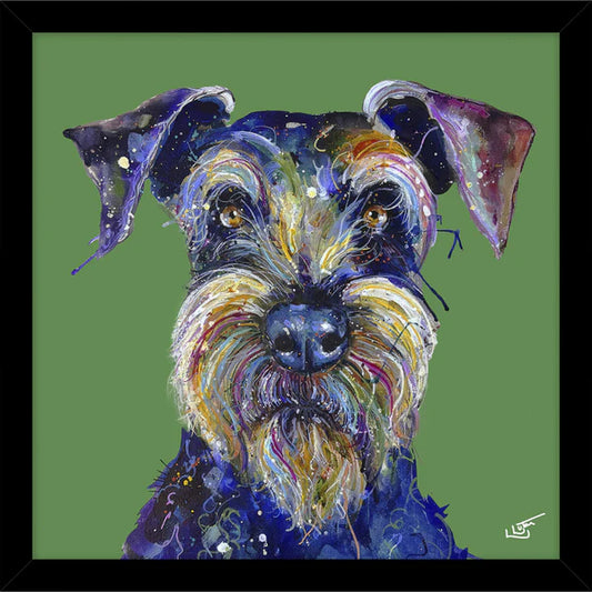 Professor Shnauzer Small by Louise Lutton Framed Picture
