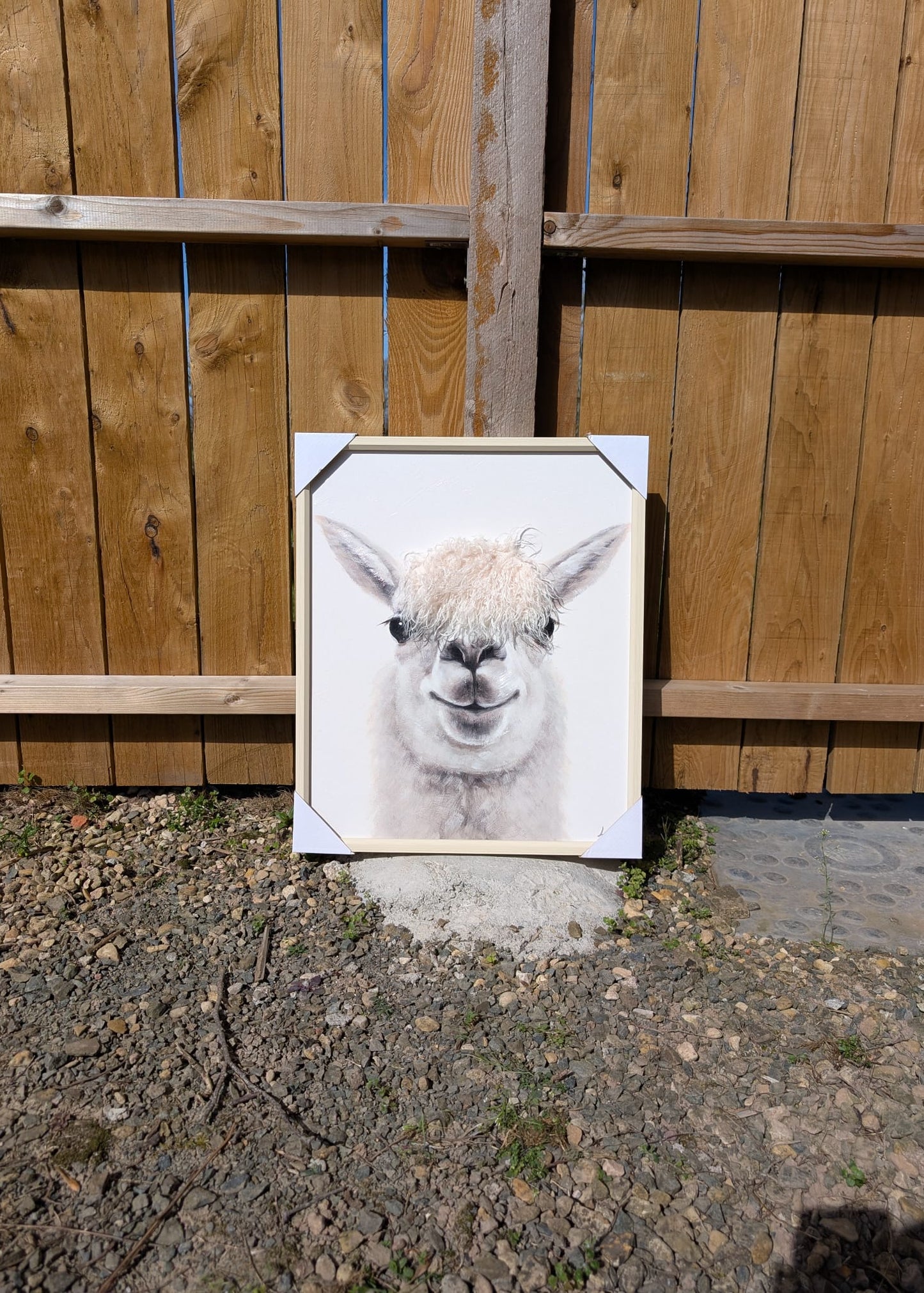 Framed picture of a llama against a wooden fence.
