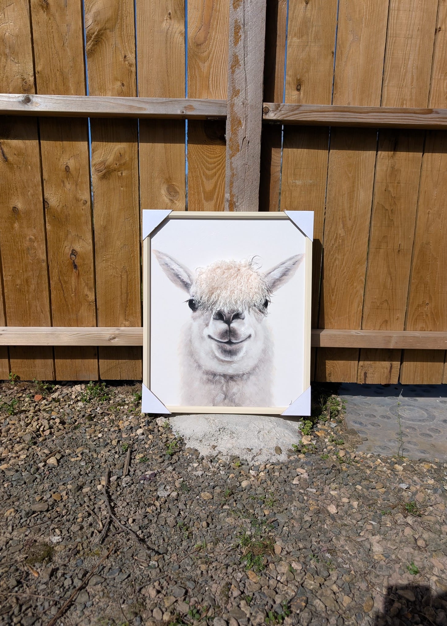 Framed picture of a llama against a wooden fence.
