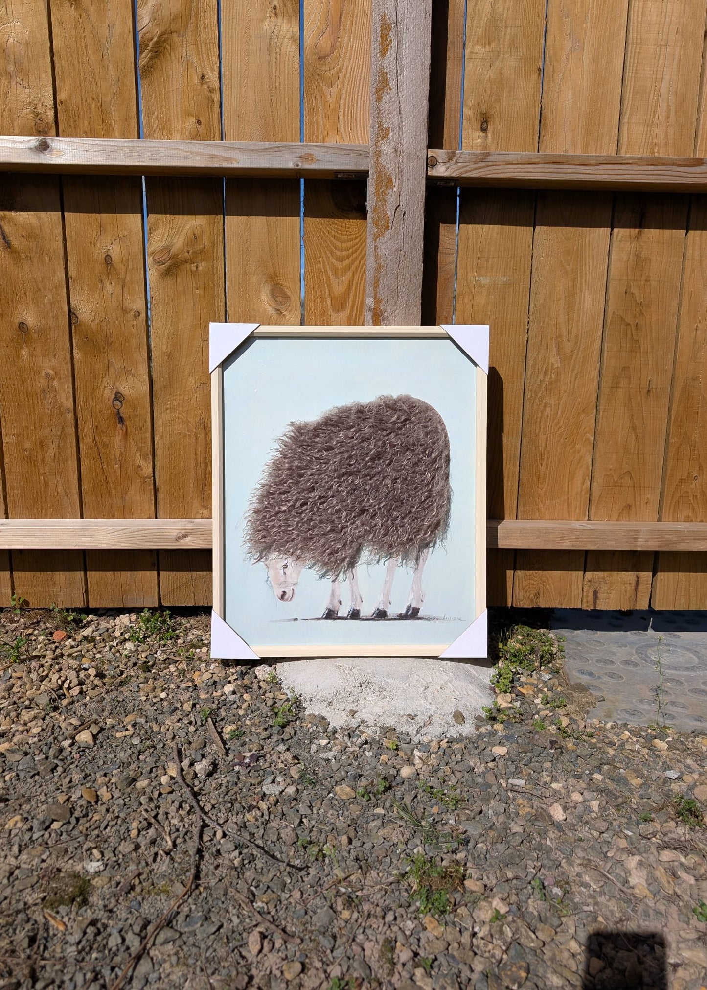 Framed artwork of a sheep on a gravel surface with a wooden fence in the background