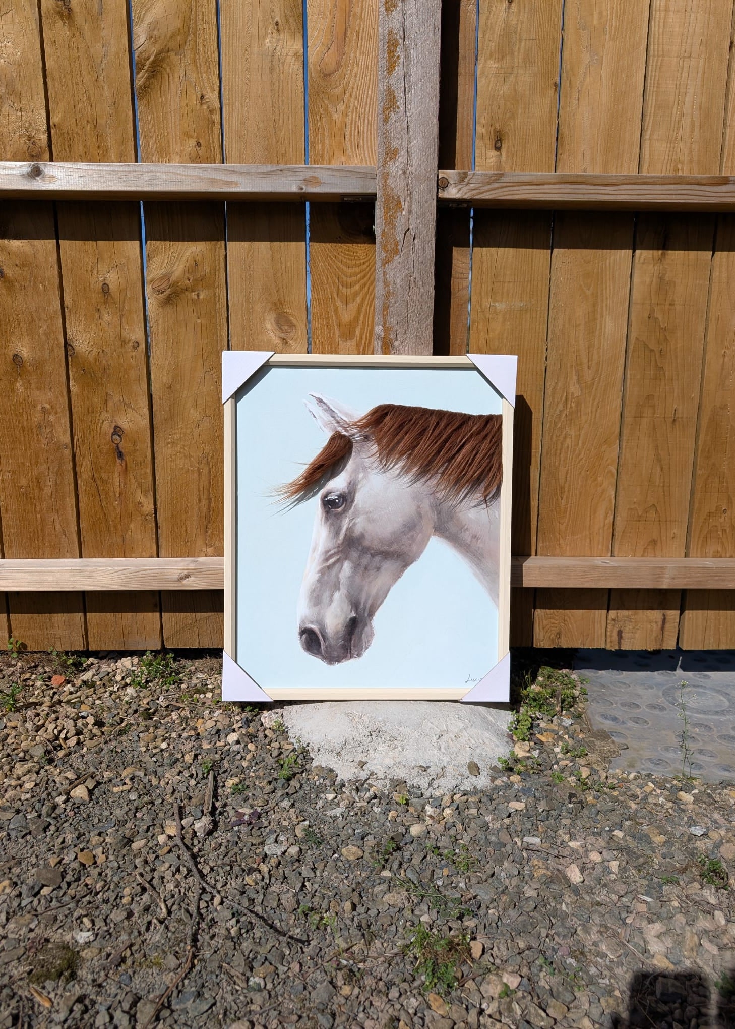 Framed picture of a horse head on a concrete block with a wooden fence background