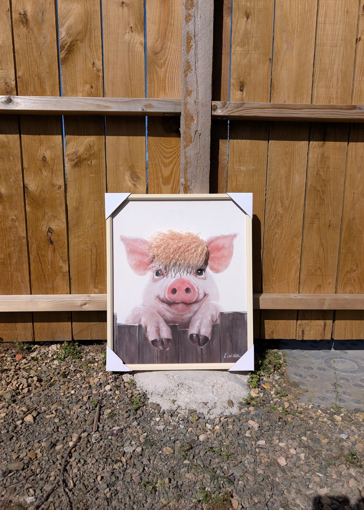 Framed picture of a pig in front of a wooden fence